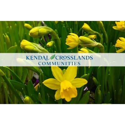 kendal~crosslands communities