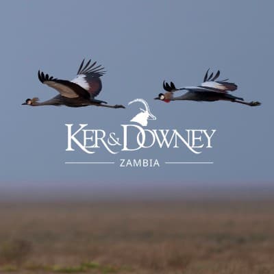 Ker & Downey Zambia