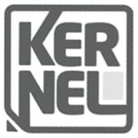 Kernel Esports