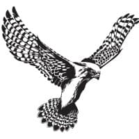 Kestrel Aluminium Systems Ltd