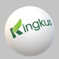 Kingkus New Material Co., Ltd.