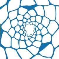 Laufs Engineering Design