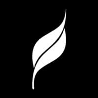 Leaf Studios