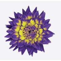 LifeWorks (acquise par TELUS Santé | acquired by TELUS Health)