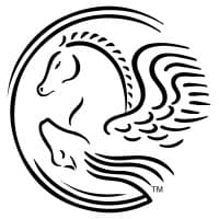 lindamood-bell learning processes