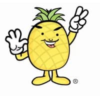 Lineapple Inc.