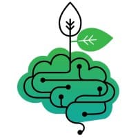 LINEAR – AI Research Group in Agriculture and Forestry (UNESP)