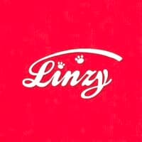Linzy Toys Inc