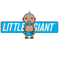 Little Giant Media LLC