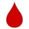 The Leukemia & Lymphoma Society