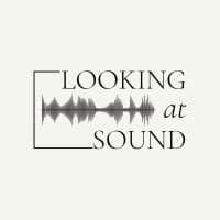 Looking At Sound