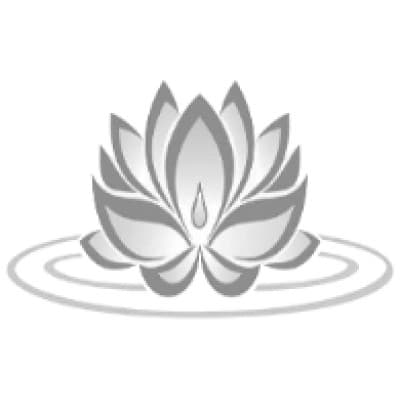 Lotus Brokers