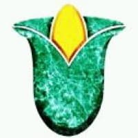 Lotus Group
