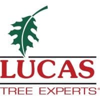 lucas tree expert co, inc