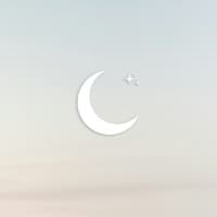 Lunar X