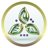 Lyfecoin