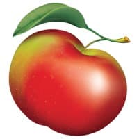 Lyman Orchards