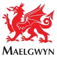 Maelgwyn Mineral Services Ltd