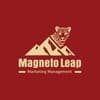 Magneto Leap