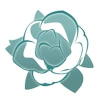 Magnolia Moments Photography