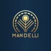 MANDELLI MARKET INTELLIGENCE
