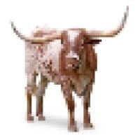 manor isd