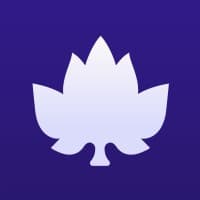 Maple