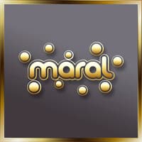 Maral Industria E Comercio De Brinquedos