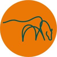 The Mare and Foal Sanctuary