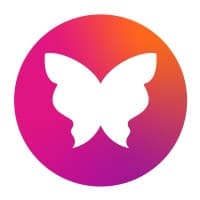 Andean Butterfly