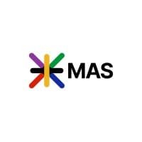 grupo mas consultores