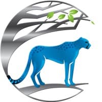 Massively Parallel Technologies (MPT)