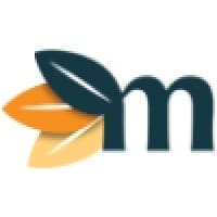 Maven Web Solutions