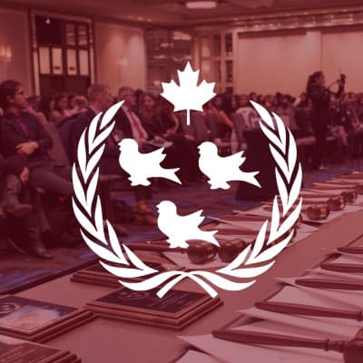 McGill Model United Nations (McMUN)