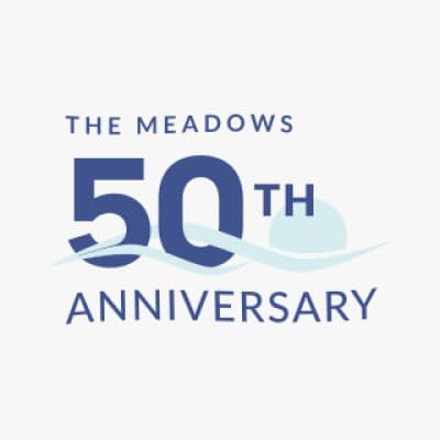 Meadows Behavioral Healthcare