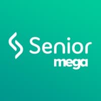 mega sistemas corporativos