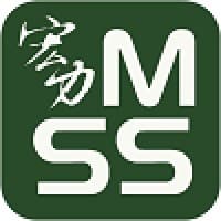 Megastrength Security Services