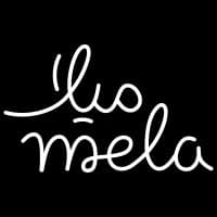 Middle East Leadership Alliance (Mela)