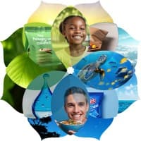 MELODEA Recyclable Packaging Solutions