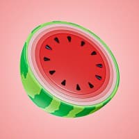 🍉MELON