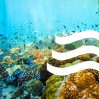 Meridian Adventure Dive Resort