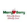 MerryBerry