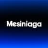 Mesiniaga Berhad
