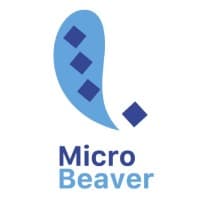 Micro Beaver for IT Solutions