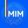 MIM