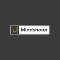 Mindsnoop Marketing