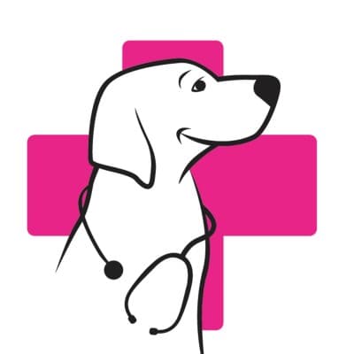 Veterinarias Mister Mascotas