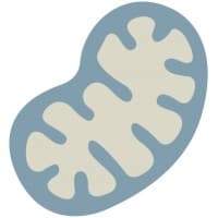 Mitochon Technologies LLC