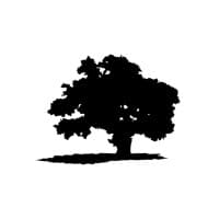 Monterey Financial Services