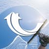 mortgage solutions financial
